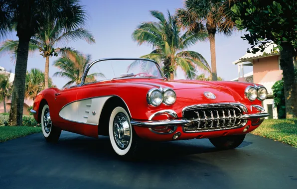 Картинка пальма, 1960, corvette, кабриолет, chevrolet, convertible