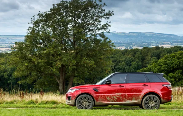 Картинка поле, лес, небо, трава, облака, деревья, грязь, внедорожник, Land Rover, кустарник, чёрно-красный, четырёхдверный, Range Rover …