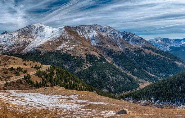 Картинка лес, небо, облака, снег, деревья, горы, панорама, ущелье, США, Colorado
