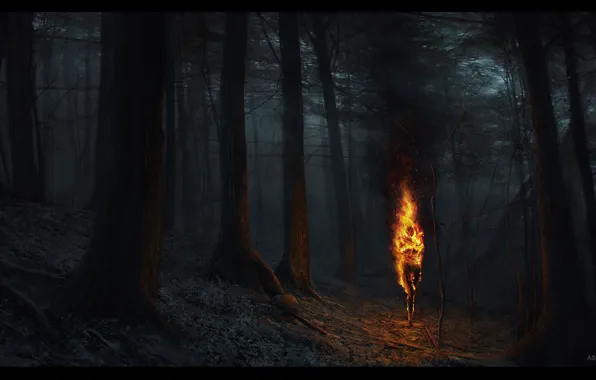 Картинка torch, ashen falls, fire woods, nitgh
