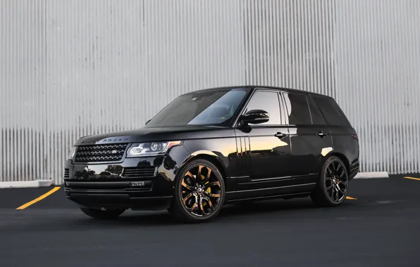 Картинка lights, Range Rover, with, color, exterior, trim, smoked, matched