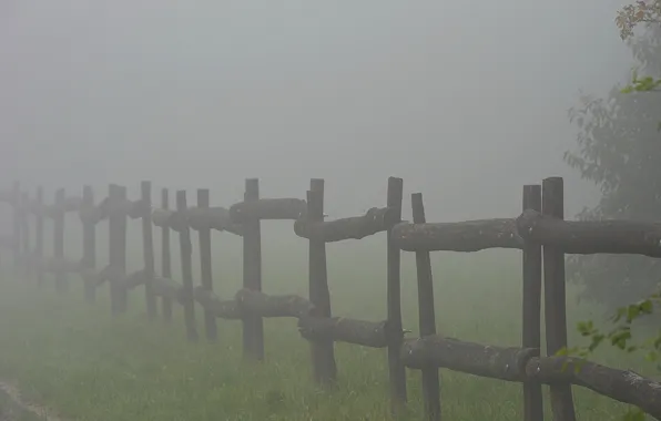 Картинка Поле, Туман, Трава, Grass, Fog, Field