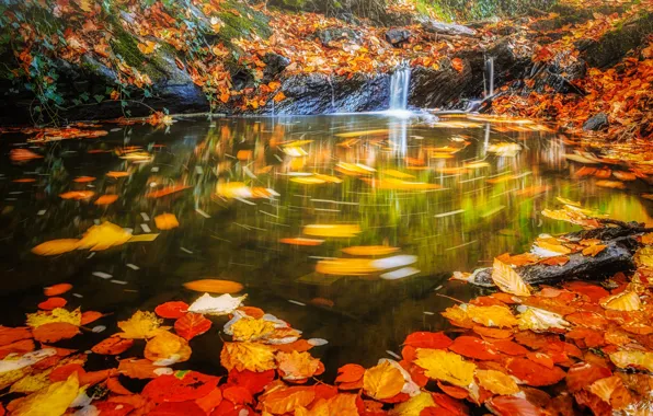 Картинка осень, листья, вода, водопад, поток