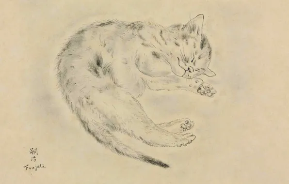 Картинка бумага, 1928, Tsuguharu Foujita, перо и чернила, Спящая кошка, размывка серым