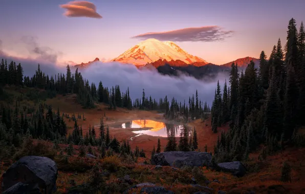 Картинка лес, небо, свет, туман, озеро, отражение, гора, утро, США, национальный парк, штат Вашингтон, Каскадные горы, …