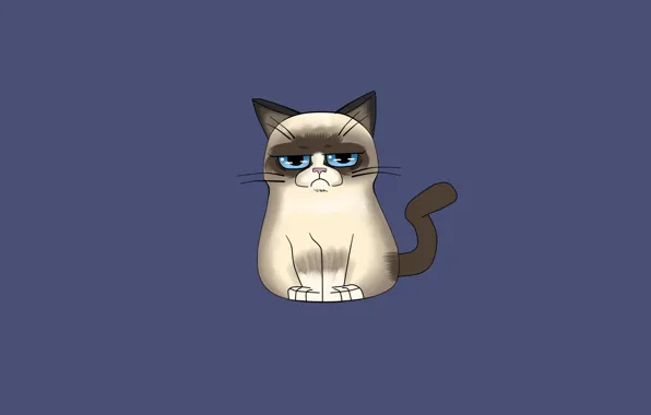 Картинка кошка, кот, минимализм, grumpy cat, сердитый котик