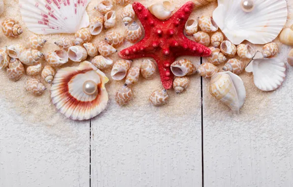 Картинка песок, ракушки, wood, sand, marine, still life, жемчужина, starfish, seashells, perl