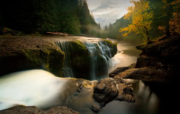 Картинка осень, лес, деревья, горы, туман, река, камни, водопад, США, брёвна, Washington, Lower Lewis River Falls, …