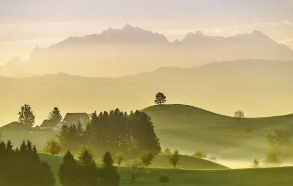 Картинка деревья, горы, природа, туман, дома, Швейцария