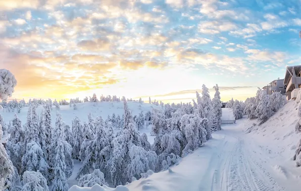 Картинка зима, снег, деревья, Рука, Финляндия, Finland, Kuusamo, Куусамо, Rukatunturi