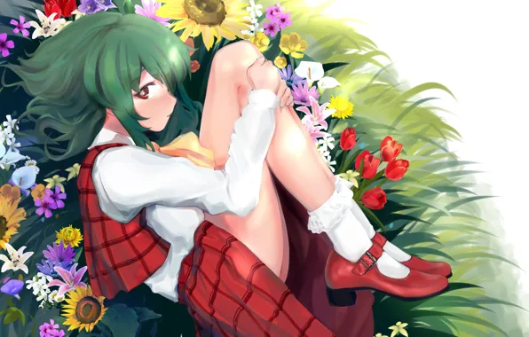 Картинка цветы, аниме, арт, девочка, touhou, kazami yuuka