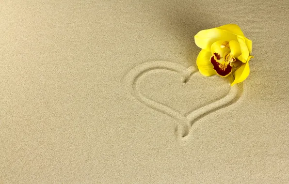 Картинка песок, цветок, сердечко, орхидея