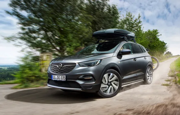 Картинка Opel, 2018, Accessorized, Grandland X, Turbo D