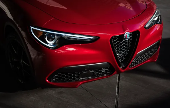 Картинка фары, Alfa Romeo, вид спереди, 2018, кроссовер, Stelvio, Nero Edizione
