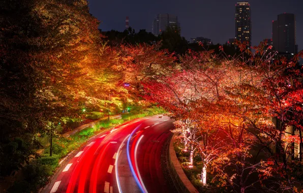 Картинка дорога, деревья, ночь, огни, дома, Япония, Токио, фонари