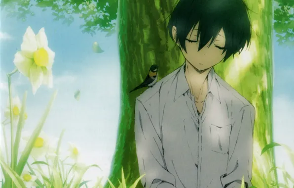 Картинка лето, небо, трава, сон, парень, птичка, нарциссы, ствол дерева, белая рубашка, Tanaka, Tanaka-kun wa Itsumo …