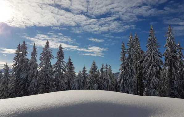 Картинка зима, лес, небо, снег, Франция, ели, сугробы