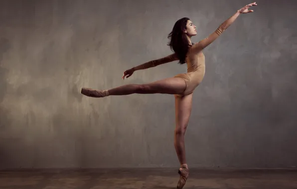 Картинка танец, балет, Laura Rosillo