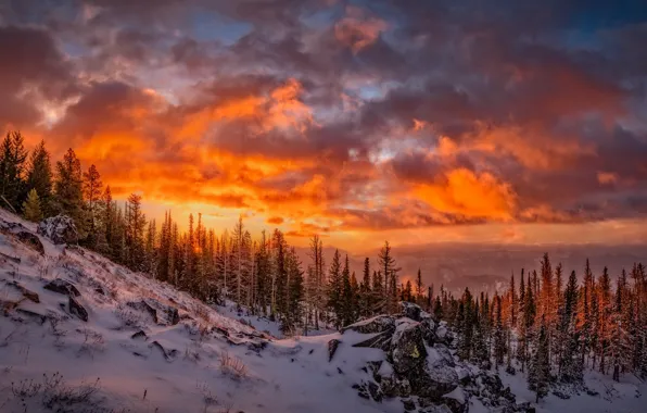 Картинка twilight, sunset, winter, mountains, clouds, snow, slope, dusk, woodland