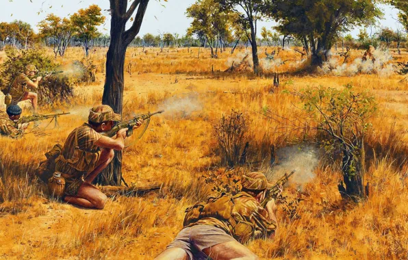 Картинка засада, перестрелка, Южная Родезия, вооружённая борьба, Война в Южной Родезии