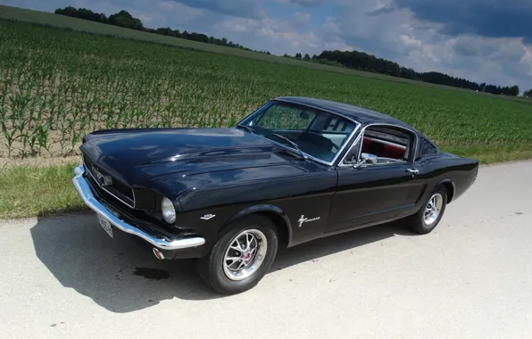Картинка дорога, авто, небо, фон, черный, спорт, Ford Mustang, Fastback, classic, 1966