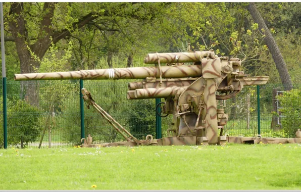 Картинка gun, normandy, ww2. war