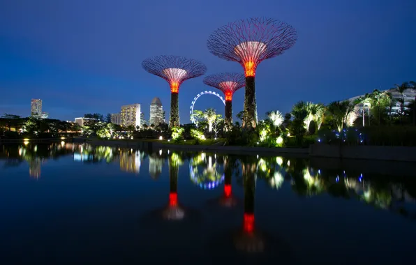 Картинка небо, вода, деревья, ночь, дизайн, огни, парк, отражение, река, пальмы, дома, Сингапур, сооружения, Gardens by …