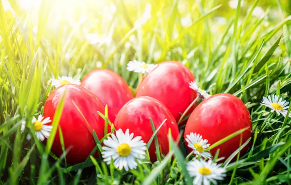 Картинка трава, цветы, корзина, Пасха, flowers, spring, Easter, eggs, decoration, basket, Happy, яйца крашеные