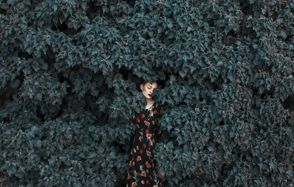 Картинка девушка, лицо, листва, платье