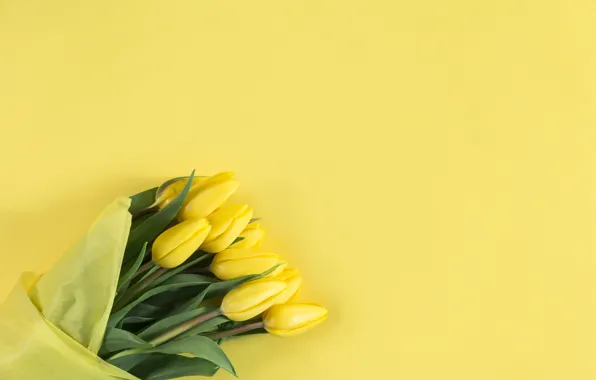 Картинка цветы, фон, букет, желтые, тюльпаны