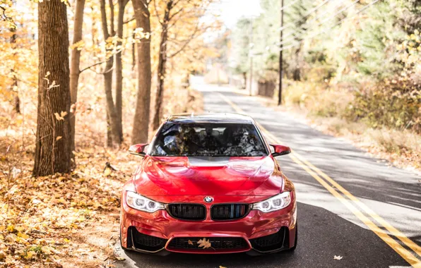 Картинка BMW, Autumn, RED, F82