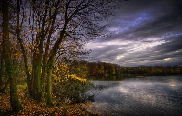 Картинка осень, листья, деревья, тучи, озеро