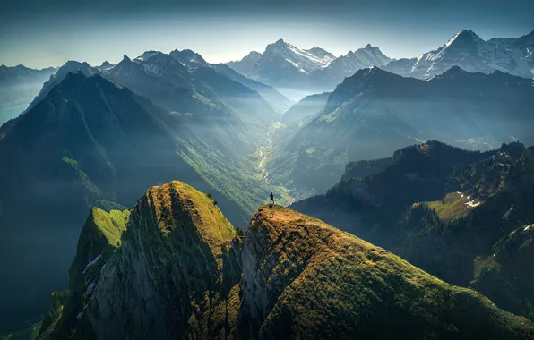 Картинка лес, небо, солнце, горы, скалы, человек, высота, Швейцария, ущелье