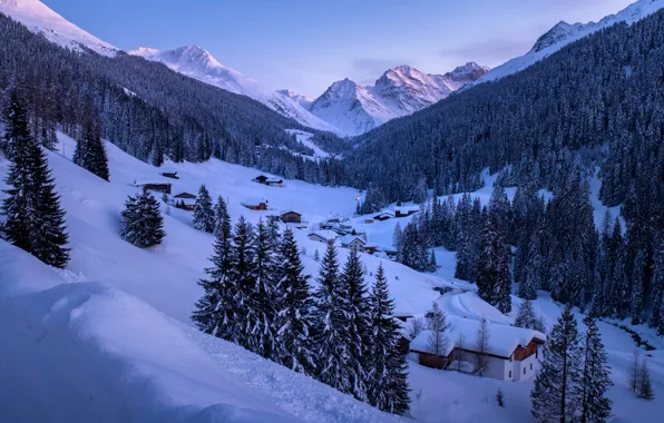 Картинка зима, лес, снег, горы, Швейцария, ели, деревня, Альпы, домики, Switzerland, Alps, Clavadel, Клавадель