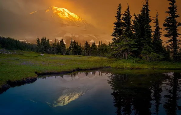 Картинка лес, горы, озеро, отражение, поляна, ели, штат Вашингтон, Mount Rainier, Каскадные горы, Washington State, Cascade …