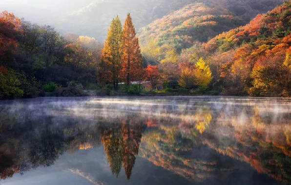 Картинка озеро, отражение, осенние деревья, лесистые холмы