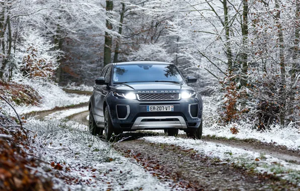 Картинка зима, снег, фары, Range Rover, Evoque, Autobiography, Si4
