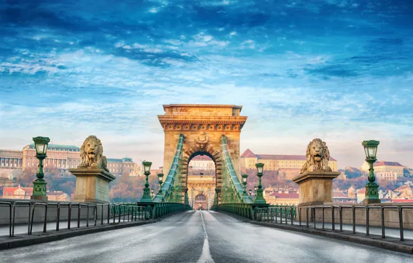 Картинка лето, город, размытость, боке, красивый вид, Венгрия, Hungary, подвесной мост, Будапешт, travel, Budapest, Цепной мост …