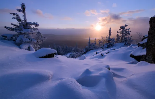 Картинка зима, лес, гора, утро