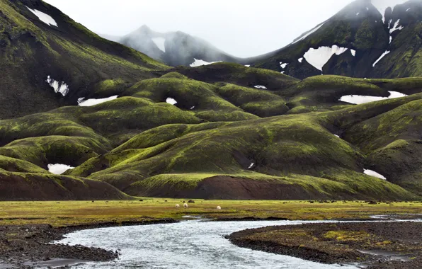 Картинка снег, горы, туман, ручей, долина, Исландия