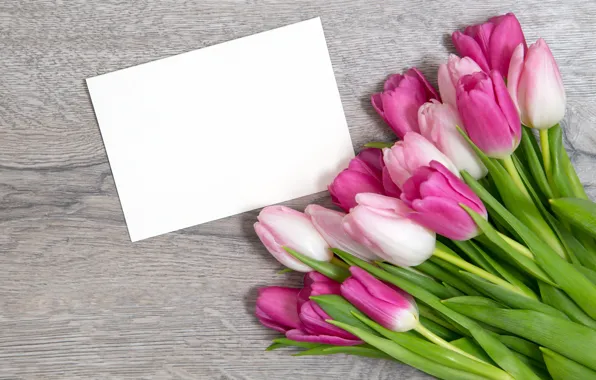Картинка тюльпаны, розовые, wood, pink, flowers, tulips