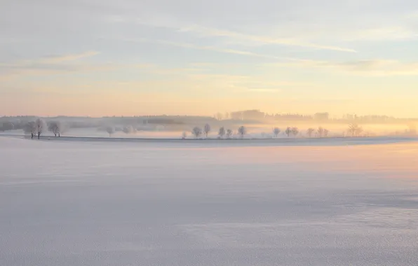 Картинка зима, природа, туман