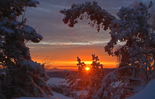Картинка зима, снег, деревья, закат, Германия, Germany, Саксония, Saxony, Gohrisch, Гориш