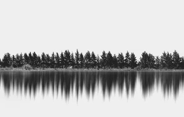 Картинка деревья, отражение, горизонт