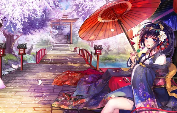 Картинка девушка, улица, зонт, сакура