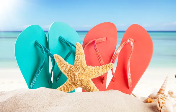 Картинка песок, море, пляж, лето, солнце, ракушки, summer, beach, каникулы, sand, сланцы, vacation, starfish, seashells
