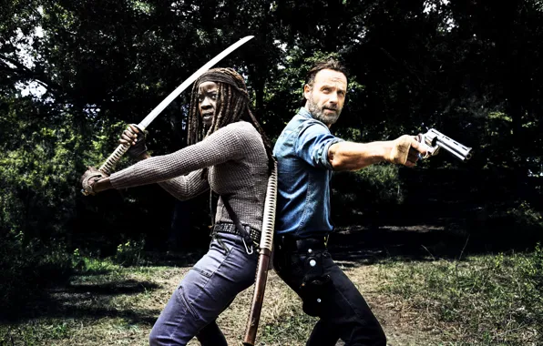 Картинка The Walking Dead, Rick Grimes, Michonne, Season 8