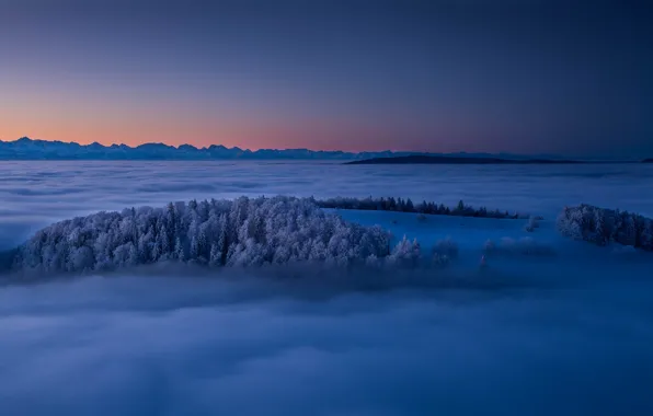 Картинка зима, деревья, горы, туман, восход, рассвет, Швейцария, Switzerland, Юра, Jura Mountains, горы Юра, Canton Jura