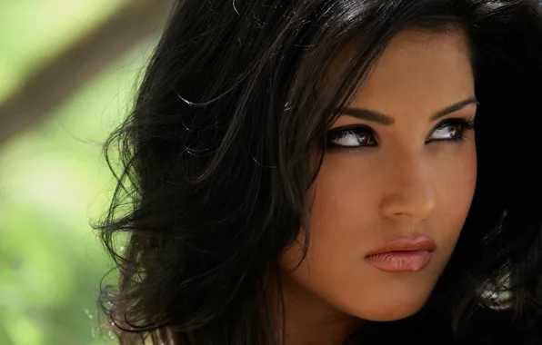 Картинка взгляд, лицо, модель, брюнетка, Sunny Leone
