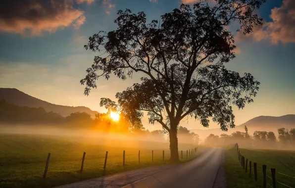 Картинка дорога, восход, дерево, рассвет, поля, утро, Tennessee, Cades Cove, Теннесси, Great Smoky Mountains National Park, …